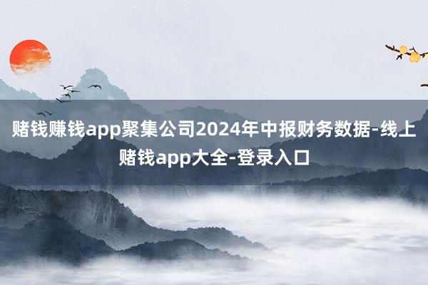 赌钱赚钱app聚集公司2024年中报财务数据-线上赌钱app大全-登录入口