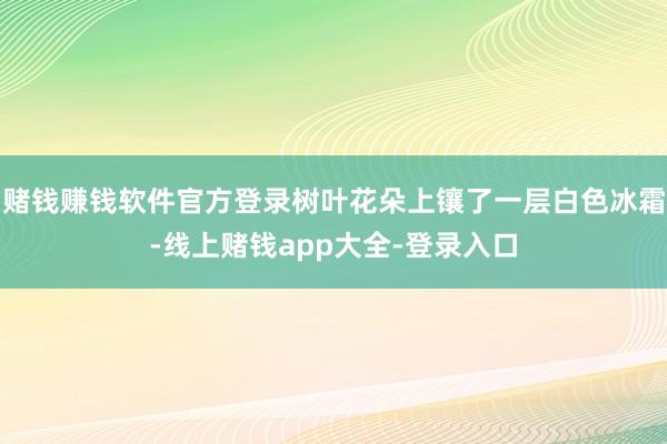 赌钱赚钱软件官方登录树叶花朵上镶了一层白色冰霜-线上赌钱app大全-登录入口