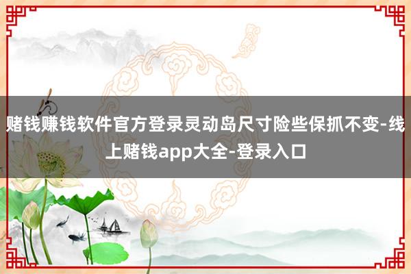 赌钱赚钱软件官方登录灵动岛尺寸险些保抓不变-线上赌钱app大全-登录入口