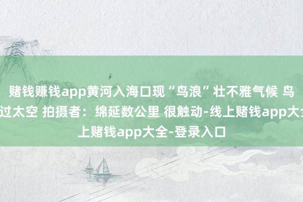 赌钱赚钱app黄河入海口现“鸟浪”壮不雅气候 鸟群如巨鲸划过太空 拍摄者：绵延数公里 很触动-线上赌钱app大全-登录入口