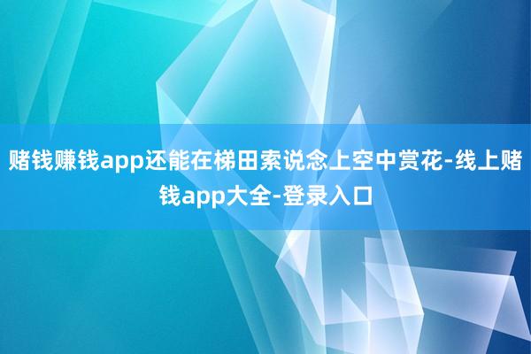 赌钱赚钱app还能在梯田索说念上空中赏花-线上赌钱app大全-登录入口