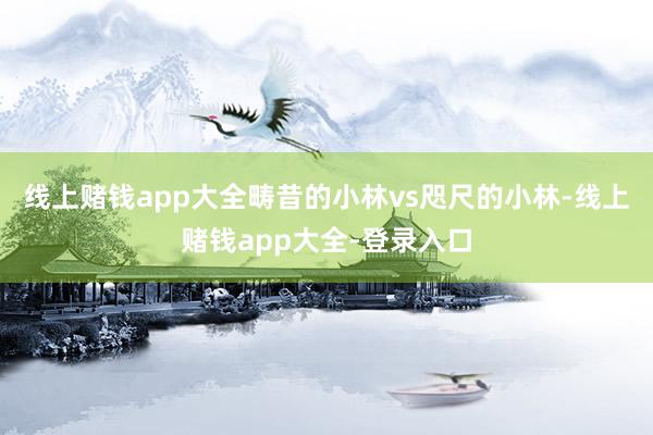 线上赌钱app大全畴昔的小林vs咫尺的小林-线上赌钱app大全-登录入口