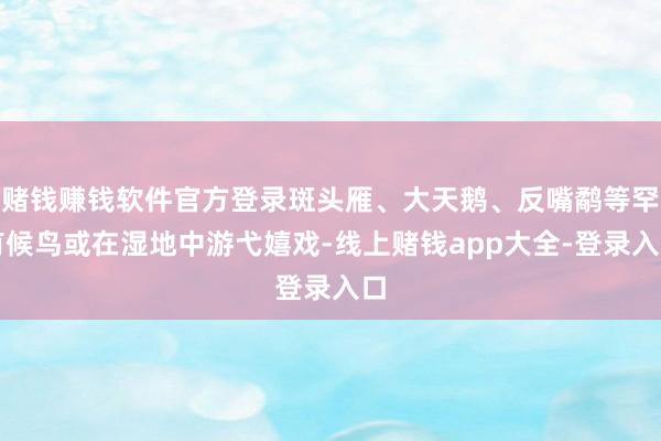 赌钱赚钱软件官方登录斑头雁、大天鹅、反嘴鹬等罕有候鸟或在湿地中游弋嬉戏-线上赌钱app大全-登录入口