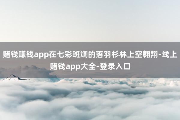 赌钱赚钱app在七彩斑斓的落羽杉林上空翱翔-线上赌钱app大全-登录入口
